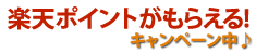 楽天Edyカード