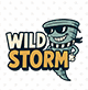 WILD STORM