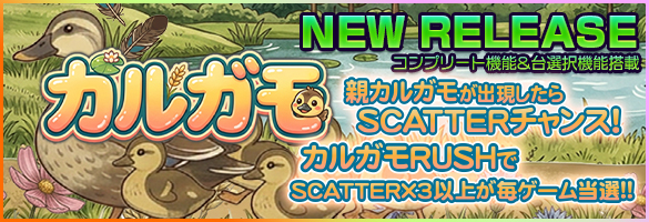 カルガモ
