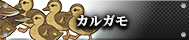 カルガモ
