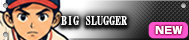 BIG SLUGGER