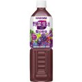 カゴメ 野菜生活100 ベリーサラダ スマートPET 720ml×15本 